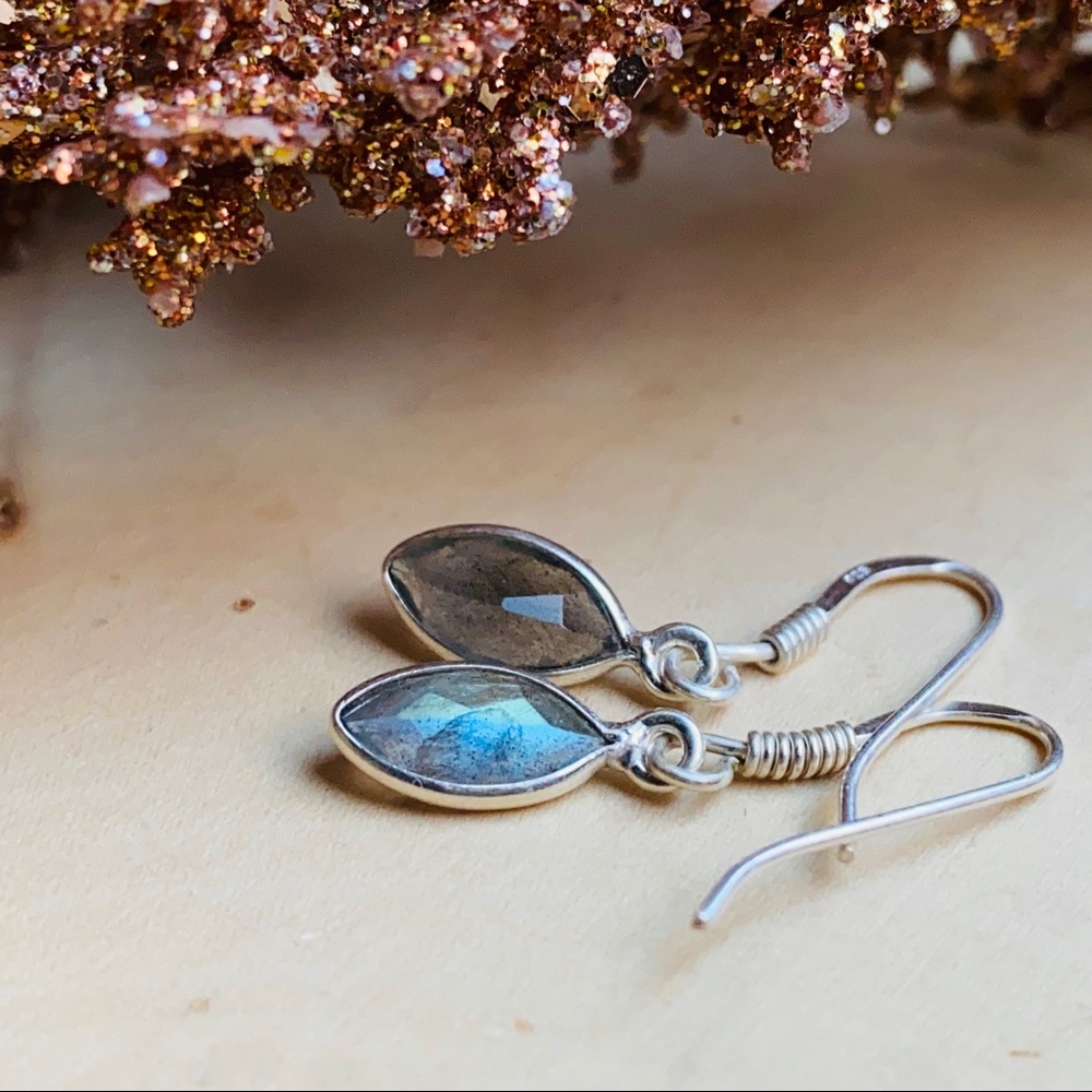 Labradorite Gems Sterling Silver Dangle Earrings